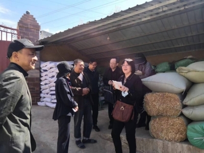 全國(guó)畜牧總站深入尋甸開(kāi)展調(diào)研，共繪現(xiàn)代畜牧業(yè)與飼料銷售新藍(lán)圖